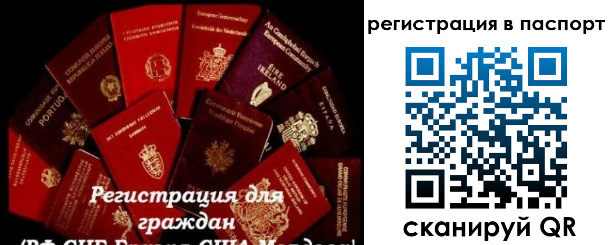 миграционный учет в Мордовии